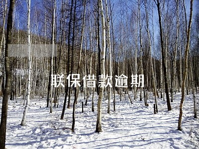 联保借款逾期