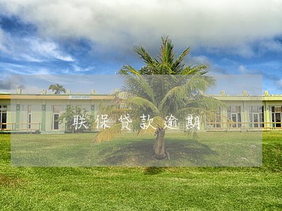 联保贷款逾期 联保贷款逾期