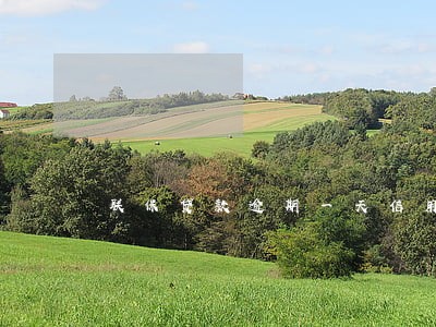 联保贷款逾期一天信用记录 联保贷款逾期一天信用记录