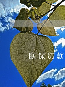 联保贷款逾期不还 联保贷款逾期不还