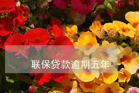 联保贷款逾期五年 联保贷款逾期五年