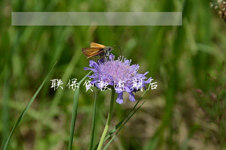 联保贷款逾期后