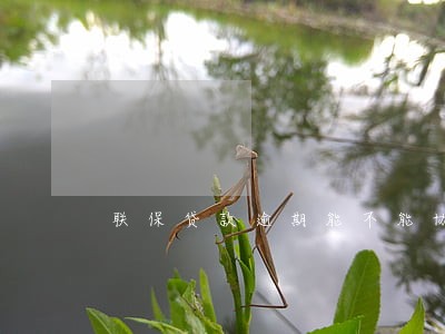 联保贷款逾期能不能协商还本金 联保贷款逾期能不能协商还本金