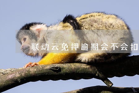 联动云免押逾期会不会扣芝麻分 联动云免押逾期会不会扣芝麻分