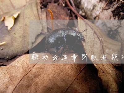 联动云违章罚款逾期半年 联动云违章罚款逾期半年