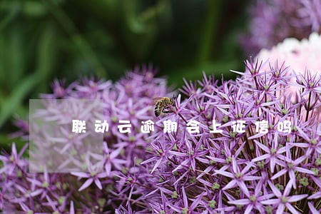 联动云逾期会上征信吗 联动云逾期会上征信吗