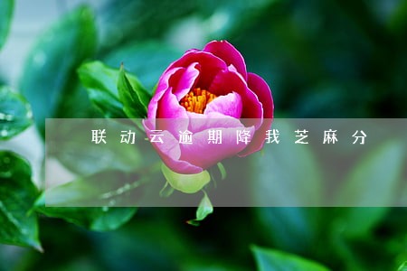 联动云逾期降我芝麻分 联动云逾期降我芝麻分