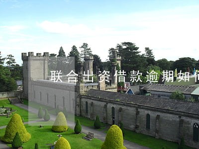 联合出资借款逾期如何追偿 联合出资借款逾期如何追偿