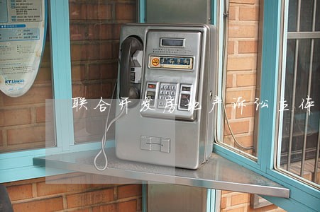 联合开发房地产诉讼主体资格 联合开发房地产诉讼主体资格