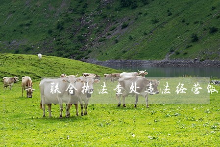联合执法查处违法经营饭店 联合执法查处违法经营饭店