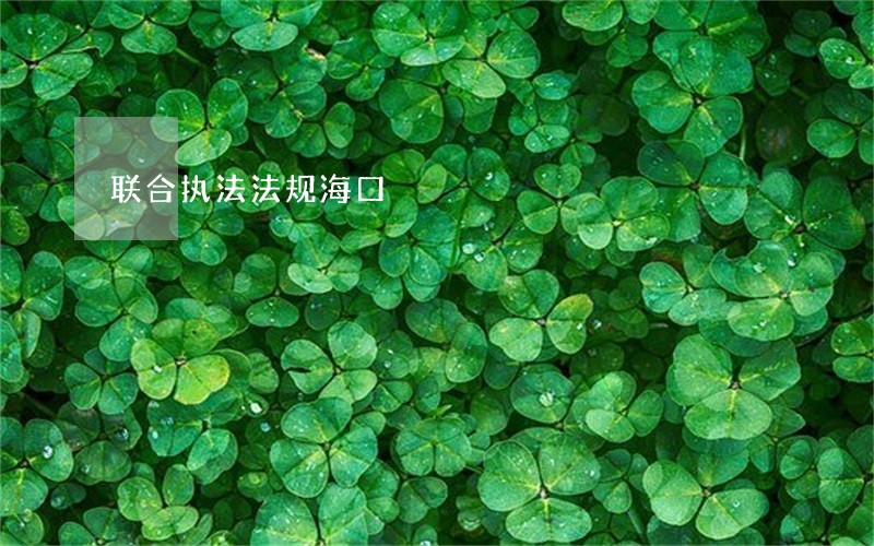 联合执法法规海口