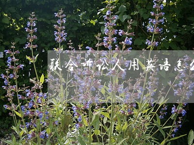 联合诉讼人用英语怎么说