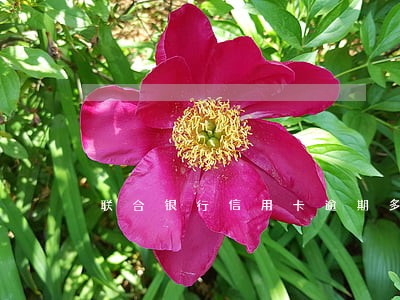 联合银行信用卡逾期多久上征信 联合银行信用卡逾期多久上征信