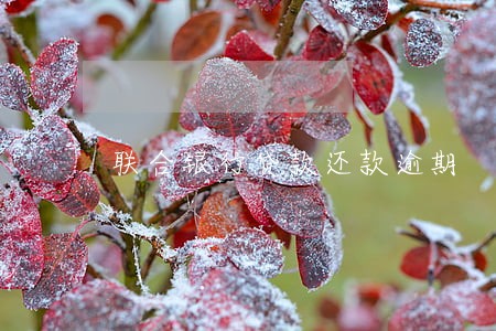 联合银行贷款还款逾期 联合银行贷款还款逾期