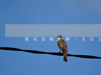 联招金融逾期一天会上征信吗
