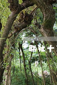 联社十万元逾期七年利息多少 联社十万元逾期七年利息多少
