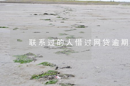 联系过的人借过网贷逾期 联系过的人借过网贷逾期