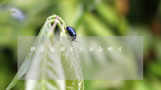 联系逾期客户准备哪些 联系逾期客户准备哪些