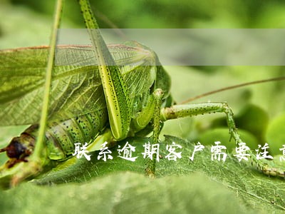 联系逾期客户需要注意什么 联系逾期客户需要注意什么