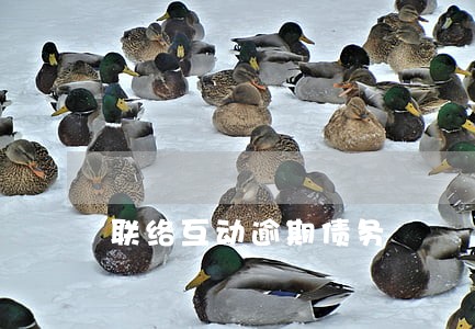 联络互动逾期债务 联络互动逾期债务