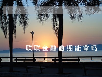 联联金融逾期能拿吗 联联金融逾期能拿吗