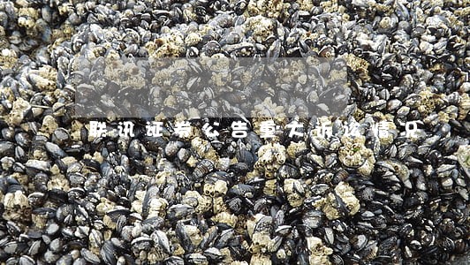 联讯证券公告重大诉讼情况