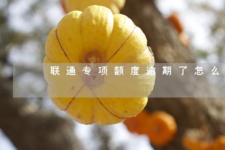 联通专项额度逾期了怎么办 联通专项额度逾期了怎么办