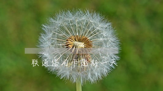 联通信用卡逾期一天 联通信用卡逾期一天