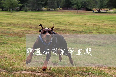 联通公司宽带逾期 联通公司宽带逾期