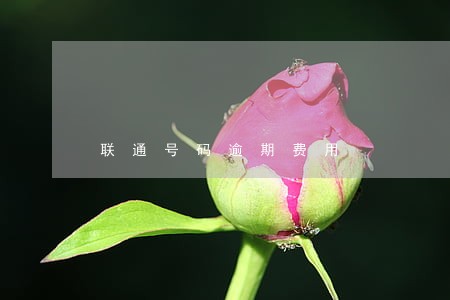 联通号码逾期费用 联通号码逾期费用