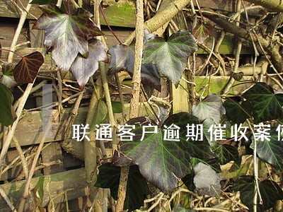联通客户逾期催收案例 联通客户逾期催收案例