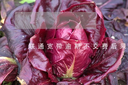 联通宽带逾期不交费后果 联通宽带逾期不交费后果