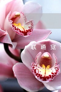 联通宽带逾期没有提示 联通宽带逾期没有提示