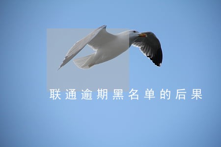 联通逾期黑名单的后果 联通逾期黑名单的后果