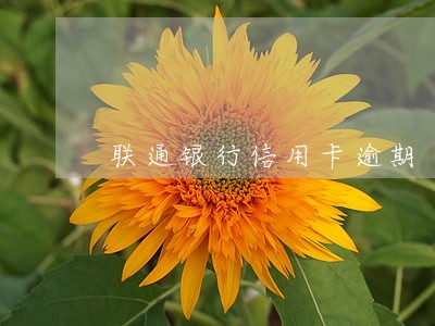 联通银行信用卡逾期 联通银行信用卡逾期