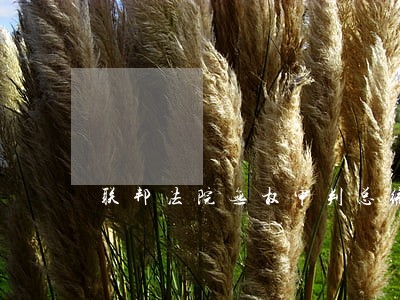 联邦法院无权审判总统
