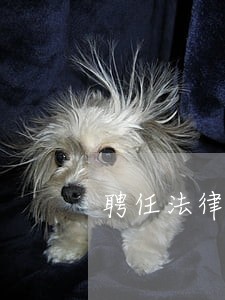 聘任法律顾问会议议程 聘任法律顾问会议议程