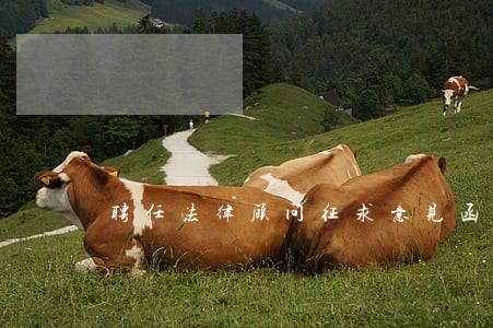 聘任法律顾问征求意见函 聘任法律顾问征求意见函