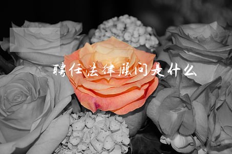 聘任法律顾问是什么 聘任法律顾问是什么