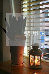 聘用人员是属于干警么