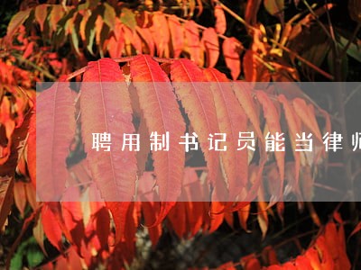 聘用制书记员能当律师吗 聘用制书记员能当律师吗