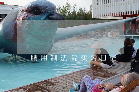 聘用制法院实习日记 聘用制法院实习日记