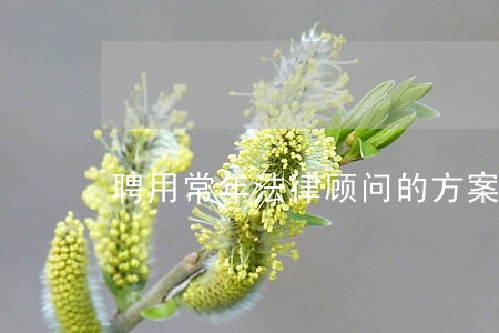 聘用常年法律顾问的方案 聘用常年法律顾问的方案