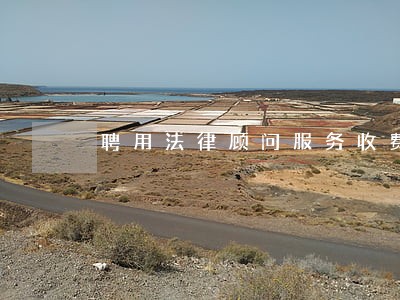 聘用法律顾问服务收费 聘用法律顾问服务收费