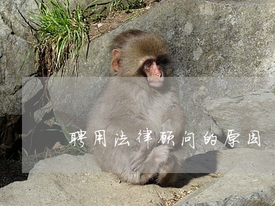 聘用法律顾问的原因 聘用法律顾问的原因