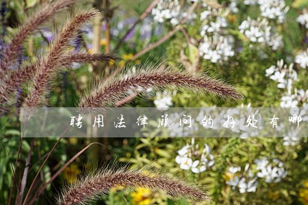 聘用法律顾问的好处有哪些 聘用法律顾问的好处有哪些