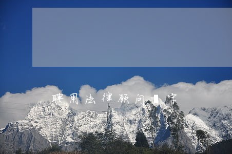 聘用法律顾问簽字