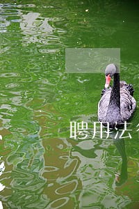 聘用法律顾问绩效目标 聘用法律顾问绩效目标