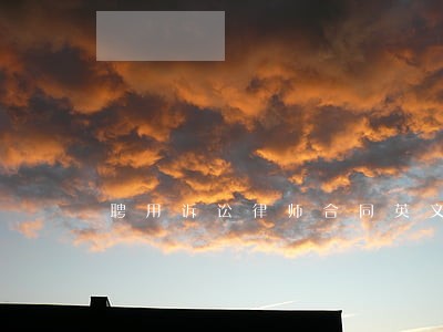 聘用诉讼律师合同英文版 聘用诉讼律师合同英文版
