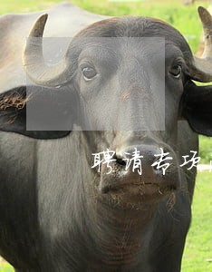 聘请专项法律顾问邀请函 聘请专项法律顾问邀请函